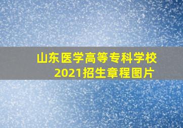 山东医学高等专科学校2021招生章程图片