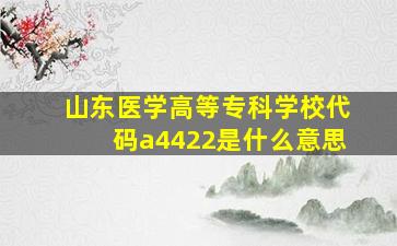 山东医学高等专科学校代码a4422是什么意思