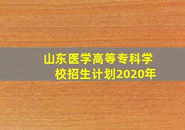 山东医学高等专科学校招生计划2020年