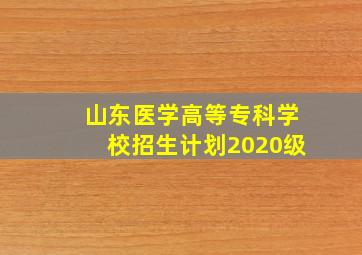 山东医学高等专科学校招生计划2020级