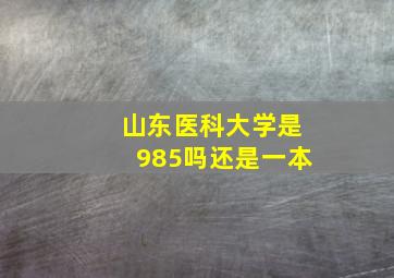 山东医科大学是985吗还是一本