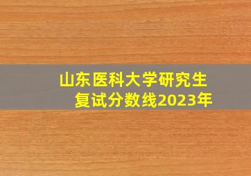 山东医科大学研究生复试分数线2023年