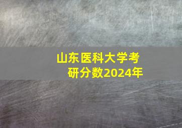 山东医科大学考研分数2024年