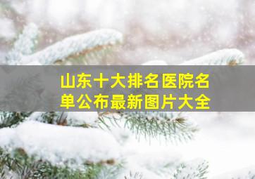 山东十大排名医院名单公布最新图片大全