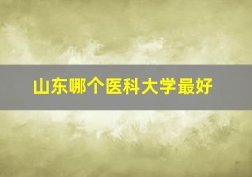 山东哪个医科大学最好