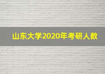 山东大学2020年考研人数