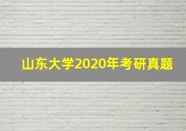 山东大学2020年考研真题