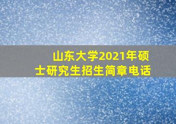 山东大学2021年硕士研究生招生简章电话