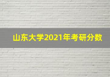 山东大学2021年考研分数