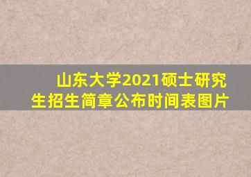 山东大学2021硕士研究生招生简章公布时间表图片