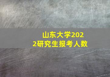 山东大学2022研究生报考人数