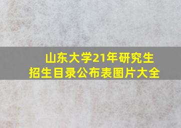 山东大学21年研究生招生目录公布表图片大全