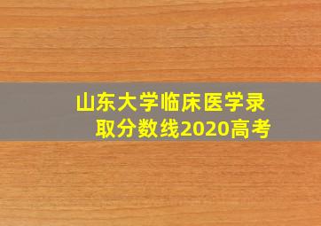 山东大学临床医学录取分数线2020高考