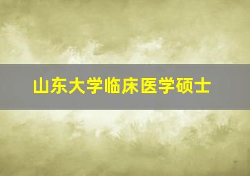 山东大学临床医学硕士