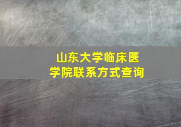 山东大学临床医学院联系方式查询