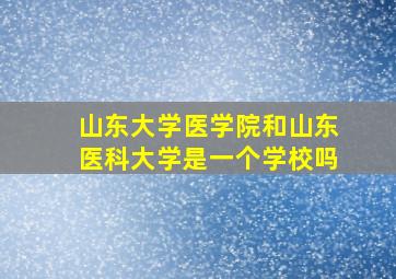 山东大学医学院和山东医科大学是一个学校吗