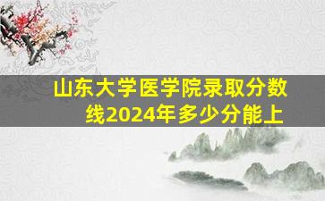 山东大学医学院录取分数线2024年多少分能上