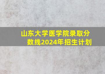 山东大学医学院录取分数线2024年招生计划