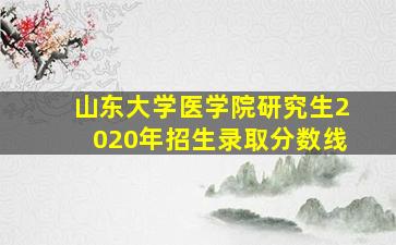 山东大学医学院研究生2020年招生录取分数线