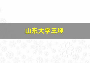 山东大学王坤