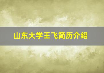 山东大学王飞简历介绍