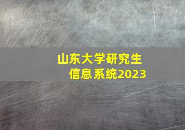 山东大学研究生信息系统2023