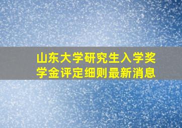 山东大学研究生入学奖学金评定细则最新消息