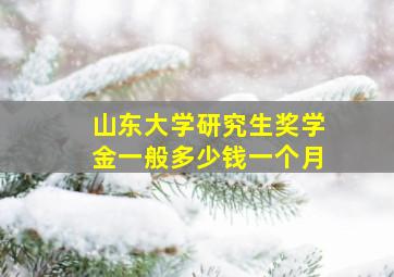 山东大学研究生奖学金一般多少钱一个月