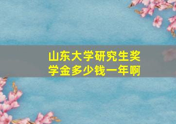 山东大学研究生奖学金多少钱一年啊