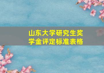 山东大学研究生奖学金评定标准表格