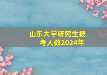 山东大学研究生报考人数2024年