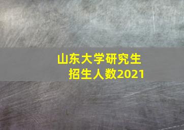 山东大学研究生招生人数2021