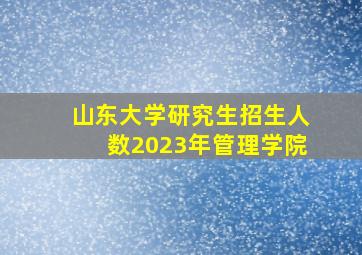 山东大学研究生招生人数2023年管理学院