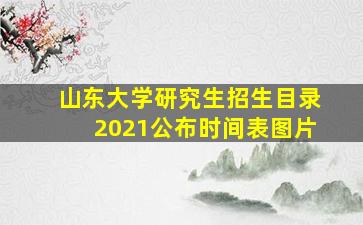 山东大学研究生招生目录2021公布时间表图片