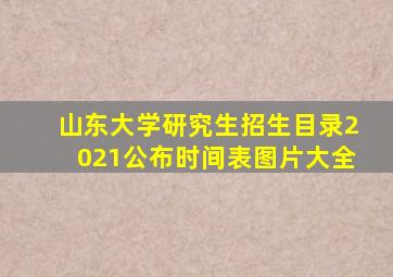 山东大学研究生招生目录2021公布时间表图片大全