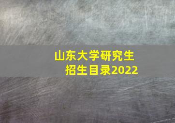 山东大学研究生招生目录2022