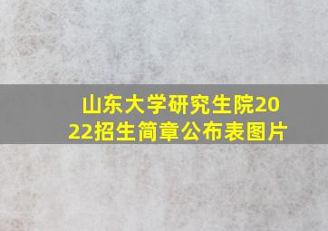 山东大学研究生院2022招生简章公布表图片