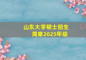 山东大学硕士招生简章2025年级