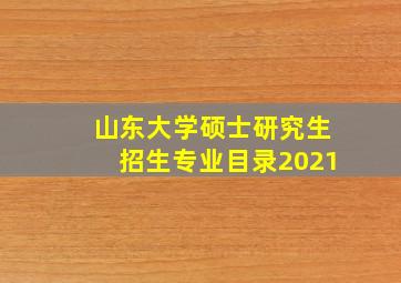 山东大学硕士研究生招生专业目录2021