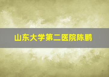 山东大学第二医院陈鹏