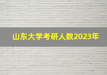 山东大学考研人数2023年