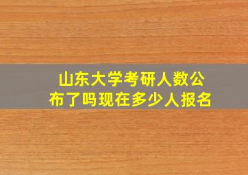 山东大学考研人数公布了吗现在多少人报名