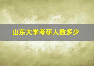 山东大学考研人数多少