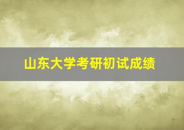 山东大学考研初试成绩