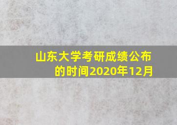 山东大学考研成绩公布的时间2020年12月