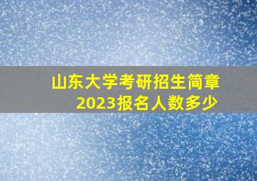 山东大学考研招生简章2023报名人数多少