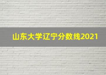 山东大学辽宁分数线2021