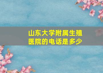 山东大学附属生殖医院的电话是多少