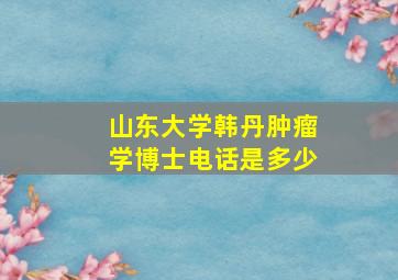 山东大学韩丹肿瘤学博士电话是多少