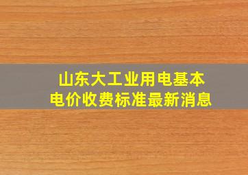 山东大工业用电基本电价收费标准最新消息